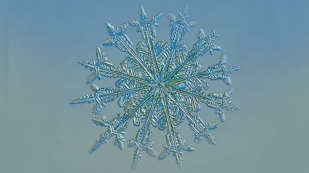 Snowflakes - background, winter, photo, snowflakes