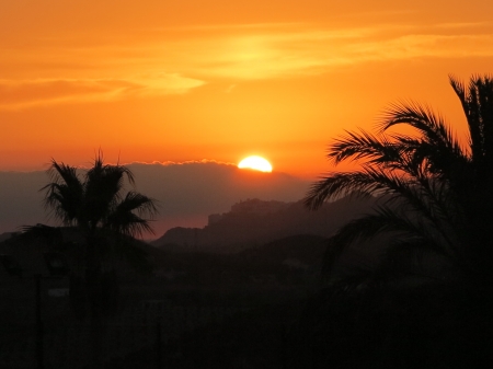 Sunrise, Mojacar, Spain - palms, spain, mojacar, sunrise