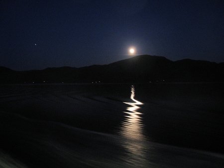 Moonlight wake. - wake, sognefjord, moonlight, norway