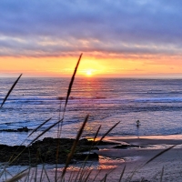 surfers at sunset