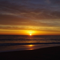 Lone flight at sunrise