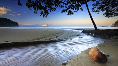 cruise ship beyond an exotic beach - trees, beach, tide pool, ship, sea