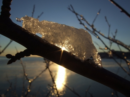 Beautiful Sunset - ice, trees, winter, sunset, nature, reflection