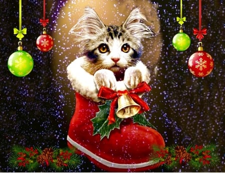 Christmas Kitten - Red, Kitten, Winter, cat, christmas, Snow, digital, ornaments, adorable, gift