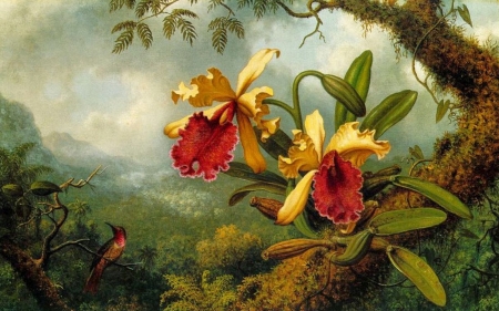 beautiful orchids - orchid, leaf, flower, jungle