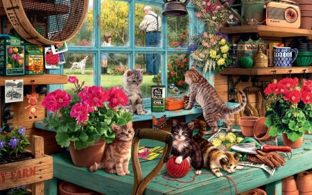 bower kittys garden - pot, flower, window, cat