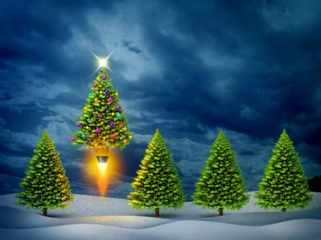 Holiday excitement - fun, winter, decoration, excitement, beautiful, evening, snow, night, joy, tree, christmas, holiday