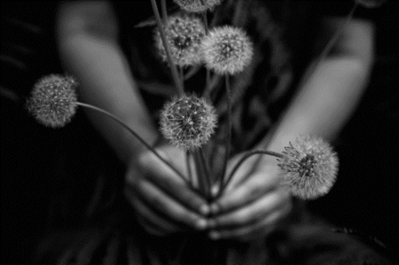 Bouquet - white, cool, black, people, photography