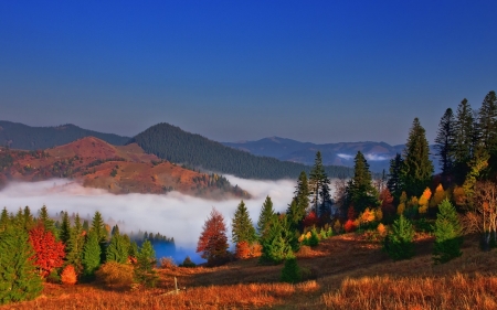 Foggy Mountain - nature, sky, autumn, fall, trees, fog, colors, mountains