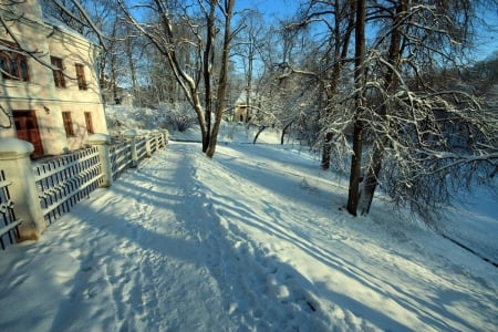 A Cold Winter Day - house, trees, landscape, snow, shadows, sunshine