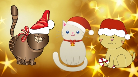 Holiday Cats - christmas, meow, cute, cats, animals