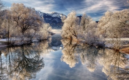 Lake Reflection - nature, lake, trees, reflection, winter