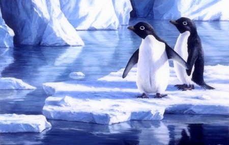 Penguin Pair - xmas and new year, ice, animals, winter, nature, penguins, love four seasons, holidays, snow, birds