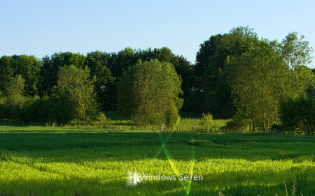 Wallpaper 88 - Windows 7 - trees, microsoft, seven, windows, grass, nature, windows 7, green, land, 7