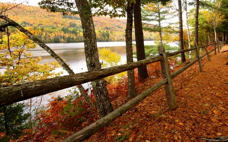 Wyman lake Maine - maine, autumn, fence, lake, leaves, wyman