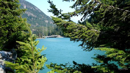 Bridge above Diablo Dam - lake, trees, bridge, widescreen, washington