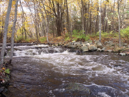 Fall Rapids - grass, trees, water