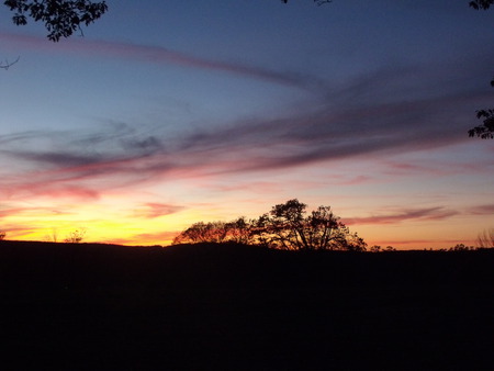 Fire Sky - clouds, trees