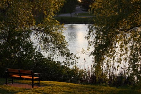 Memorial Day - memorial, bench, day