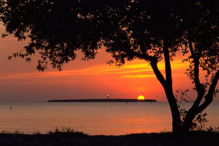 BEACH SUNSET - island, beach, orange, tree, sunset, ocean