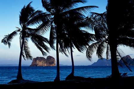 COAST OF THAILAND - coast, beach, rock, sea, palmtrees, thailand, mountain