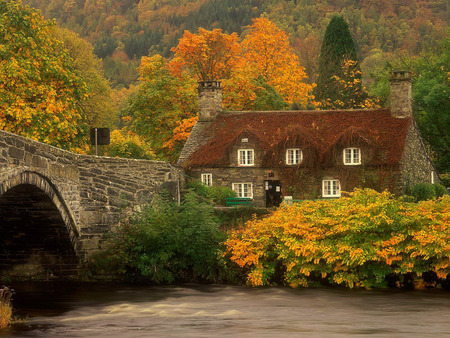 SWEET HOME - flowers, house, autumn, brick, bridge