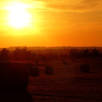 Sunset Hayfield