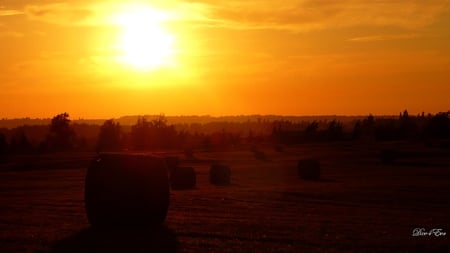 Sunset Hayfield - farm, hay, field, washington, widescreen, sunset, country