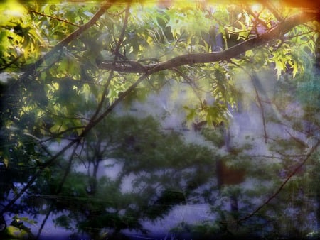 Morning light - nature, 3d