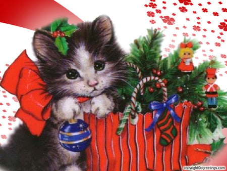 Christmas Cat - christmas, cat