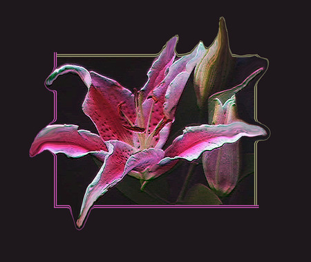 Flower - flowers, 3d