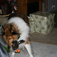 Santa Came Last Night