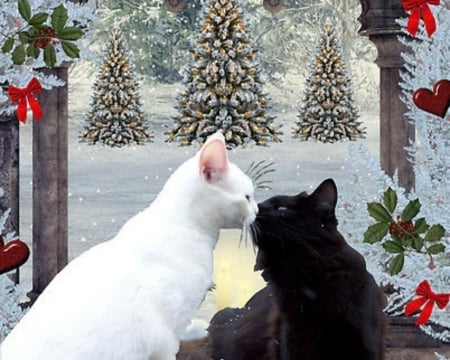 Merry Christmas - cute, cat, christmas, snow