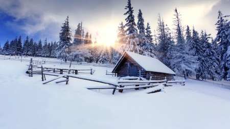 Winter sun - rays, fence, slope, sunlight, mountain, trees, sun, winter, glow, forest, beautiful, cabin