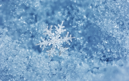 Snowflake - frozen, winter, snowflake, blue, snow, texture