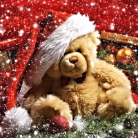 Christmas Teddy