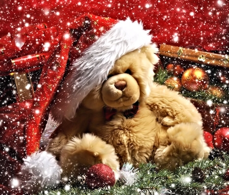 Christmas Teddy - photo, snow, teddy, christmas