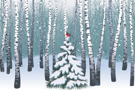 Red star - red, forest, winter, bird, craciun, christmas, blue, art, white, woods, tree, snow