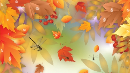 Autumn Leaves - berries, leaves, dragonfly, autumn