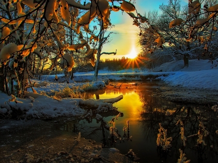 Winter Sunset - lake, winter, reflection, trees, sunset, nature, snow