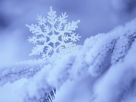 Snowflake - snow, winter, snowflake, blue