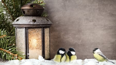 Lamp and Chickadees - holiday, lamp, winter, light, chickadees, birds, christmas, snow