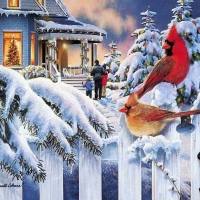 Winter Cardinals