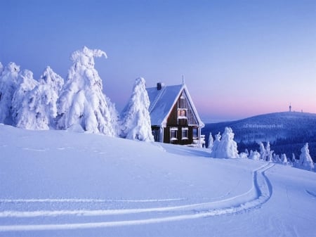 Deep Winter - trees, cabin, snow, landscape