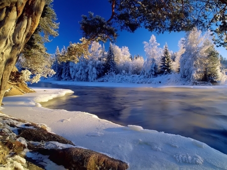 Icy River - nature, ice, trees, frost, snow, river