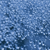 Water drops