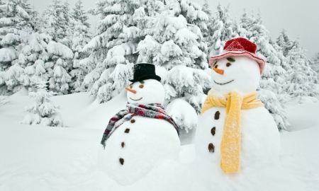 Winter Snowman - snowman, two, hat, snow, winter, snowy, pine trees