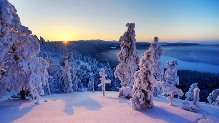 Winter landscape - valley, sky, mountain, trees, landscape, winter, sunset, amazing, forest, snow, beautiful, sunrise