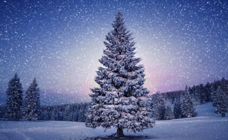 Winter landscape - sky, snowfall, landscape, winter, snowflakes, lovely, forest, beautiful, snow, tree