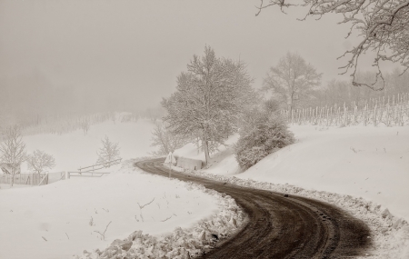 Winter Road - fence, trees, snow, winter, roads, snowy, road